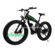 26*4.0 Inch 500W Beach Snow Mountain Fat Tire Electric Bike