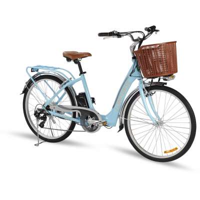 Ce En15194 Lady′s Electric Bike Lweb-2601