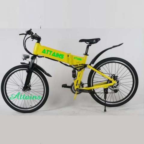 250W 36V Foldable Rear Brushless Motor City Style Electric Bike