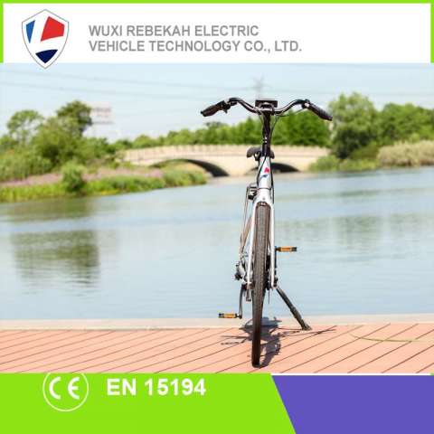 Ce Hot Sale High Speed Lead Acid Electric Bicycle