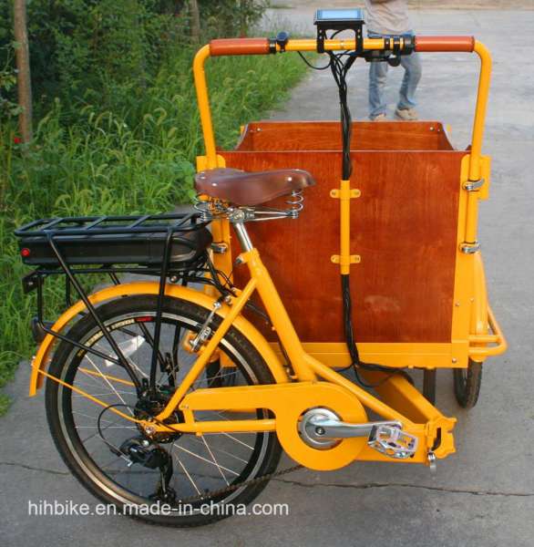 Foldable Electric Cargo Bicycle with Ce