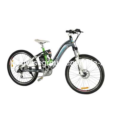 Electric Bicycle Mountain Bike (LWEB-L2615)