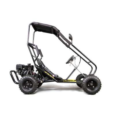 196cc Hydraulic Disc Brake Pull Start Buggy Go Kart