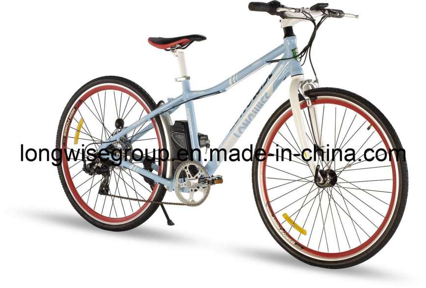 CE En15194 Mountain Electric Bicycle (LWEB-L2801)