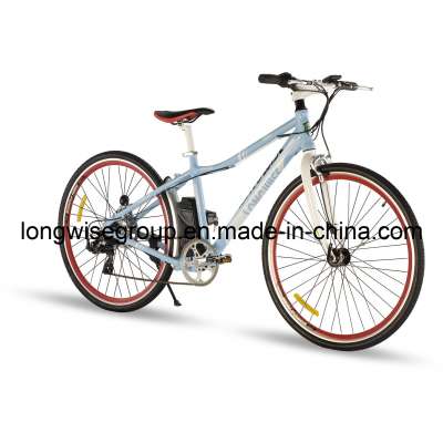 CE En15194 Mountain Electric Bicycle (LWEB-L2801)